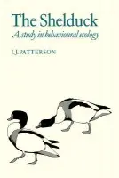 Shelduck - Patterson, I. J.