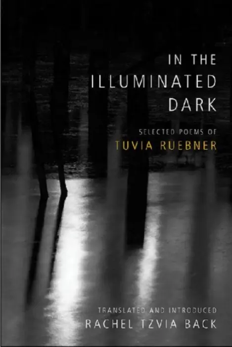 In the Illuminated Dark - Ruebner, Tuvia