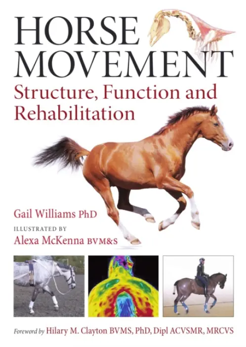 Horse Movement - Williams, Gail