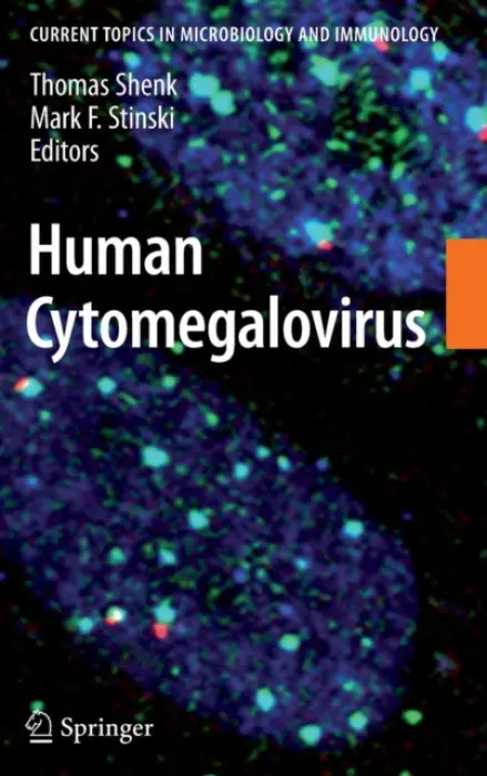 Human Cytomegalovirus