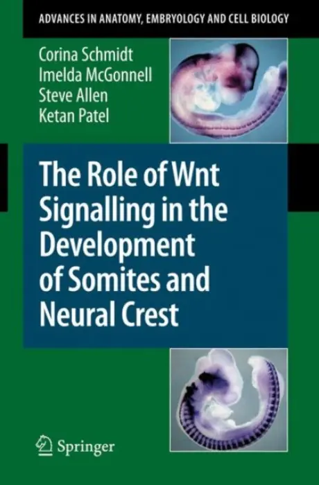 Role of Wnt Signalling in the Development of Somites and Neural Crest - Schmidt, Corina a McGonnell, Imelda a Allen, Steve a Patel, Ketan