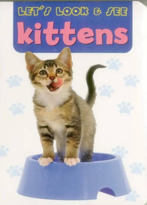 Let's Look & See: Kittens - Armadillo