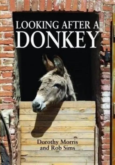 Looking After a Donkey - Morris, Dorothy a Sims, Rob