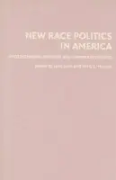 New Race Politics in America