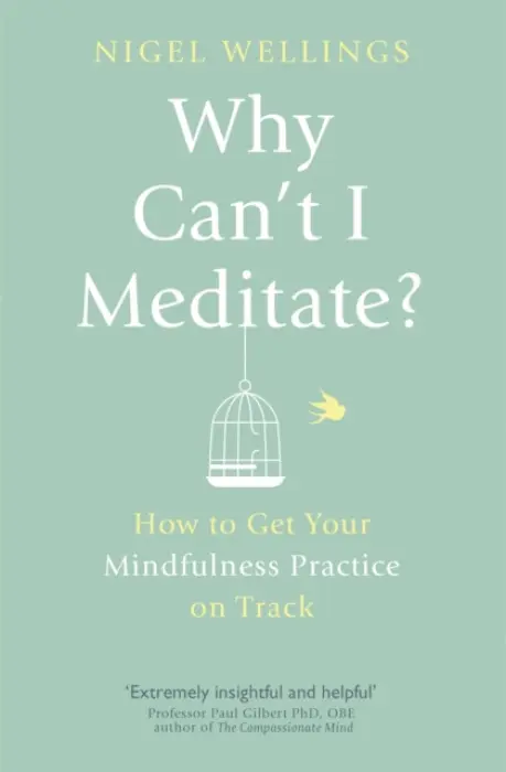 Why Can't I Meditate? - Wellings, Nigel