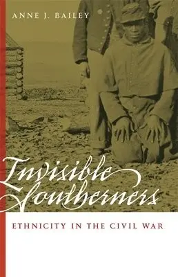 Invisible Southerners - Bailey, Anne J.
