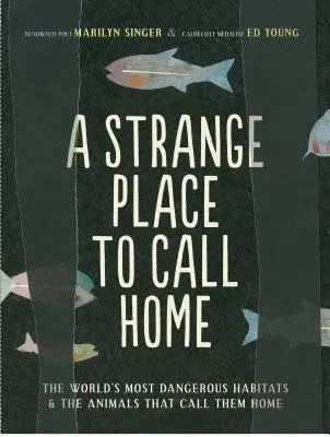 Strange Place to Call Home - Young, Ed a Singer, Marilyn