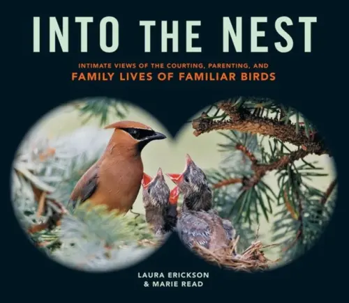 Into the Nest - Erickson, Laura a Read, Marie