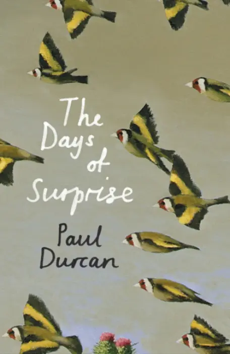 Days of Surprise - Durcan, Paul