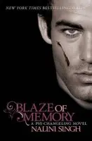 Blaze of Memory - Singh, Nalini