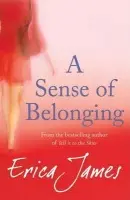 A Sense Of Belonging - Erica James
