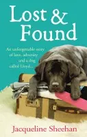 Lost & Found - Sheehan, Jacqueline