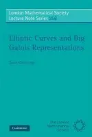 Elliptic Curves and Big Galois Representations - Delbourgo, Daniel (Monash University, Victoria)