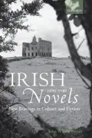 Irish Novels 1890-1940 - Wilson Foster, John (Professor Emeritus, University of British Columbia)