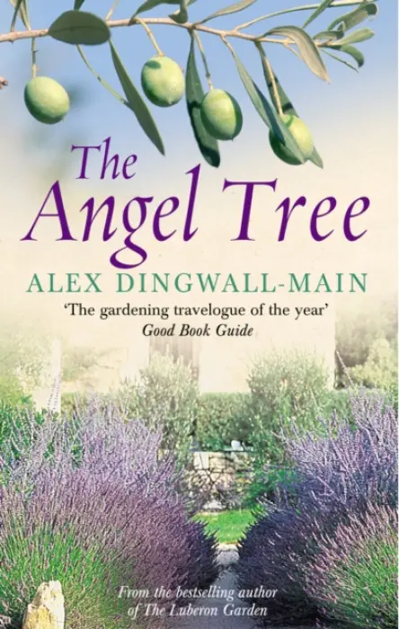 Angel Tree - Dingwall-Main, Alex
