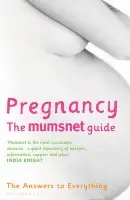 Pregnancy: The Mumsnet Guide - Mumsnet