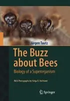 Buzz about Bees - Tautz, Jurgen