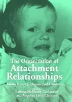 Organization of Attachment Relationships