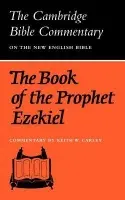 Book of the Prophet Ezekiel - Carley, Keith W.