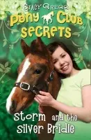 Storm and the Silver Bridle - Gregg, Stacy