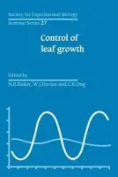 Control of Leaf Growth