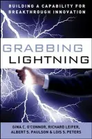 Grabbing Lightning - O'Connor, G. C.