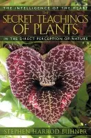 Secret Teachings of Plants - Buhner, Stephen Harrod