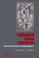 Boulevard Of Broken Symmetries: Effective Field Theories Of Condensed Matter - Schakel, Adriaan M J (Freie Univ Berlin, Germany)