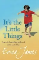 It's The Little Things - James, Erica