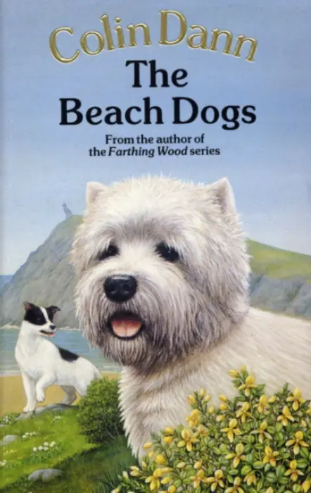 Beach Dogs - Dann, Colin