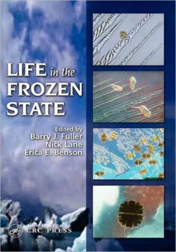 Life in the Frozen State