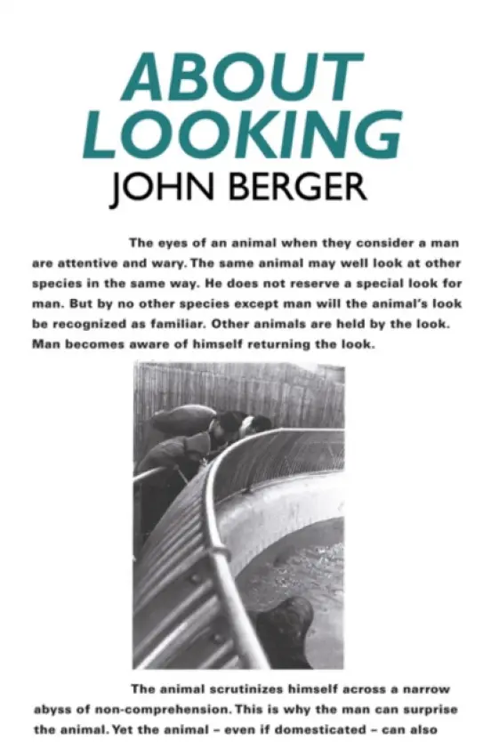 About Looking - Berger, John