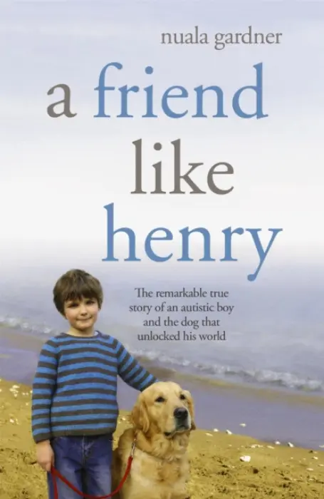 Friend Like Henry - Gardner, Nuala