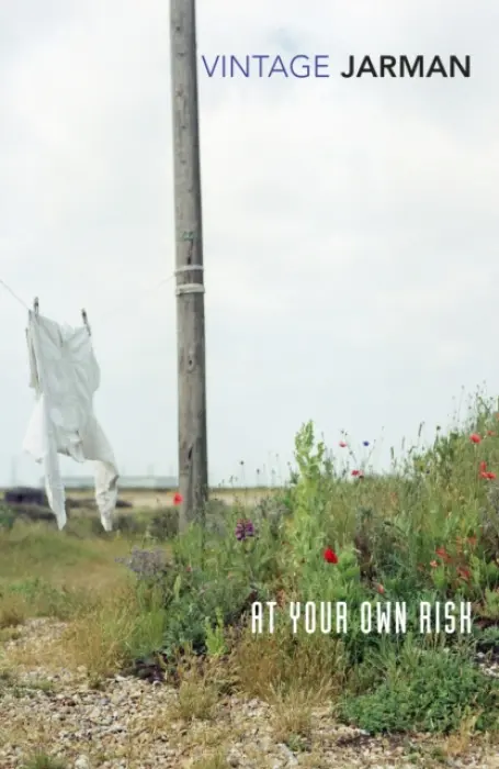At Your Own Risk - Jarman, Derek
