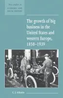 Growth of Big Business in the United States and Western Europe, 1850-1939 - Schmitz, Christopher J. (University of St Andrews, Scotland)