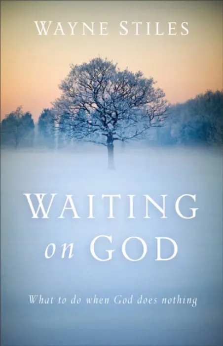 Waiting on God - What to Do When God Does Nothing - Stiles, Wayne