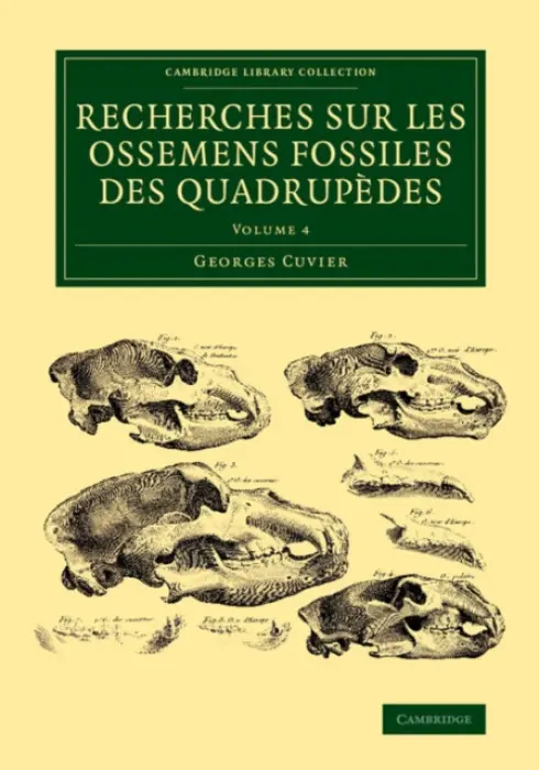 Recherches sur les ossemens fossiles des quadrupedes - Cuvier, Georges
