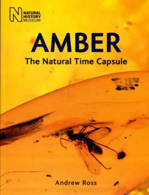 Amber - Ross, Andrew