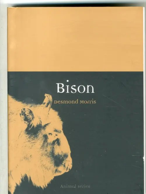 Bison - Morris, Desmond