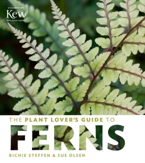 Plant Lover's Guide to Ferns - Steffen, Richie a Olsen, Sue