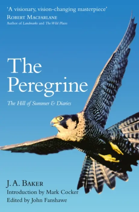 The Peregrine (The Hill of Summer & Diaries) - J.A. Baker