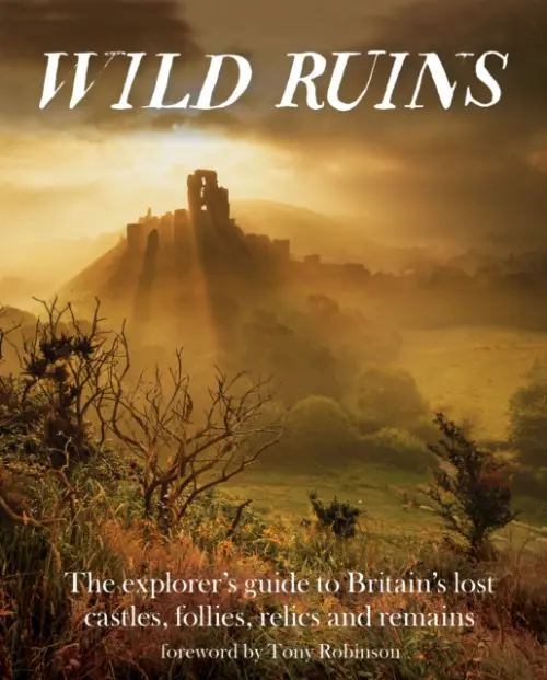 Wild Ruins - Hamilton, Dave