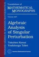 Algebraic Analysis of Singular Perturbation