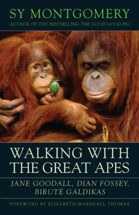 Walking with the Great Apes - Montgomery, Sy