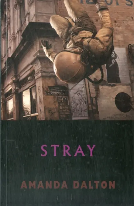 Stray - Dalton, Amanda