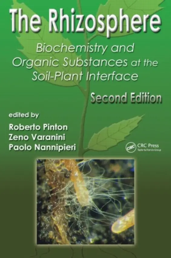 Rhizosphere