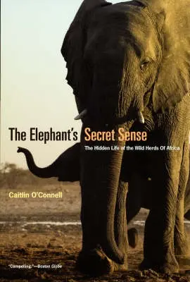 Elephant`s Secret Sense - The Hidden Life of the Wild Herds of Africa - O`connell, Caitlin