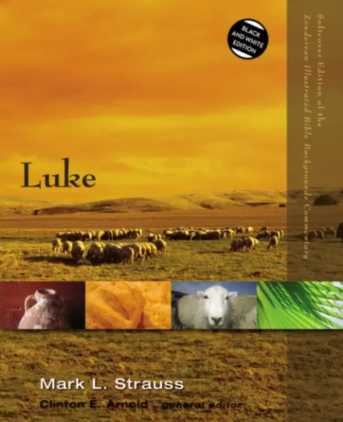 Luke - Strauss, Mark L.