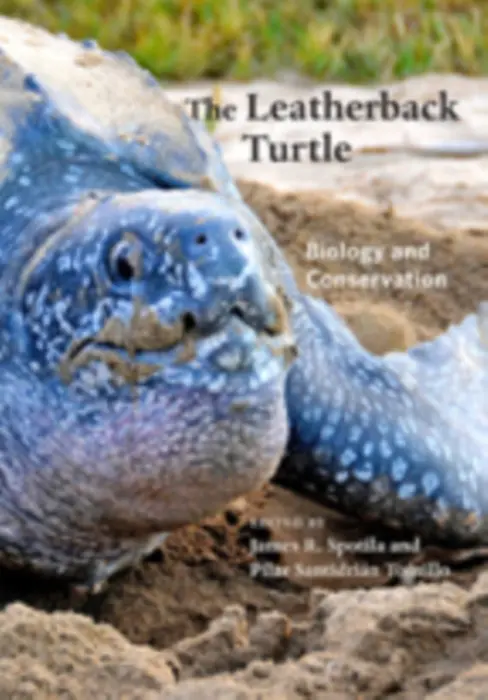 Leatherback Turtle