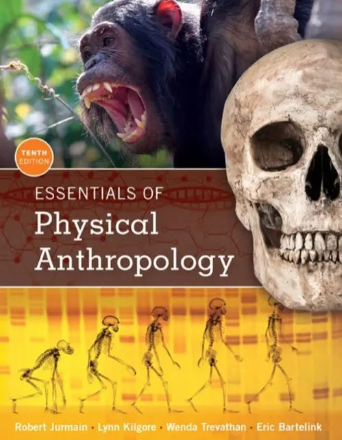 Essentials of Physical Anthropology - Jurmain, Robert (Professor Emeritus, San Jose State University) a Kilgore, Lynn (University of Colorado, Boulder) a Trevathan, Wenda (New Mexico State University) a Bartelink, Eric (California State University, Chico)